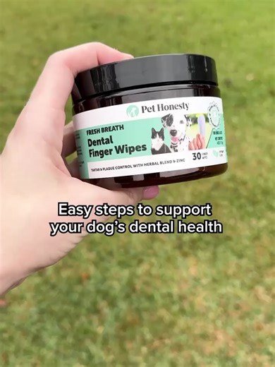 4 Simple Steps for Your Pet's Dental Care