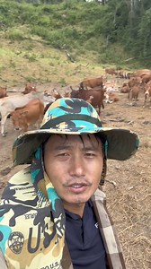 15K views · 734 reactions | Pib ua yam koj nyiam hnub no mog ib hnub tom qab thiaj tsis lig rau koj os cov me phooj ywg | Nyuj nom tuam | Facebook