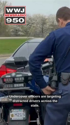 Undercover officers are targeting distracted drivers across Michigan this week. They call it "Operation Ghost Rider." 👻👮‍♂️