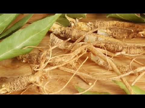 What are the health benefits of Suma root?