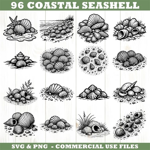 Coastal Seashell Shoreline Scene Svg & Png Bundle for Cricut and Laser Engrave Instant Downloads - Etsy