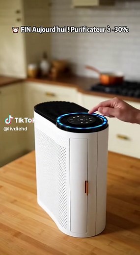 Purificateur d'air pour une maison saine et fraîche