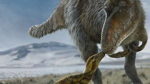 66 million years ago is closer than you think. Prehistoric Planet returns May 22 on Apple TV | Apple TV