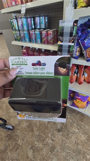 New Solar Lights At Dollar Tree $1.50 #dollartree