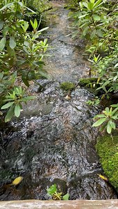 Margaret Larson on Reels