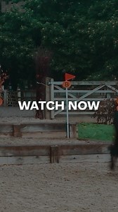 26 reactions | Ready to step up your arena eventing game? A new series of Cobs Can Go Eventing has just landed on H&C+! ✨ Join eventing star Simon Grieve and expert coach Cameron Beer in Cobs Can Go Arena Eventing as they share training exercises, and advice to get you and your cob ready for the season ahead.  Stream the full series now—only on H&C+!  | Horse & Country TV | Facebook