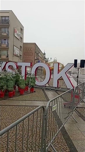 Eco scam pseudo-eco Białystok Christmas trees in pots, cutting down trees in the city center