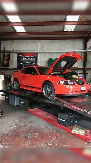 Cammed 2004 Mach 1 Roars on the Dyno | Incredible Sound & Power! #mustangmach1 #fordmustang