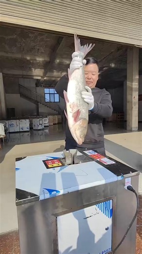 Fast & Powerful Fish Cutting Machine – Full Process#FishCutting#ViralVideo#YouTubeShorts#MachineWork