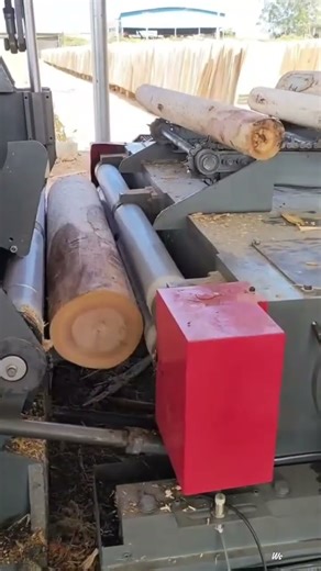 the process of peeling tree bark in a sawmill