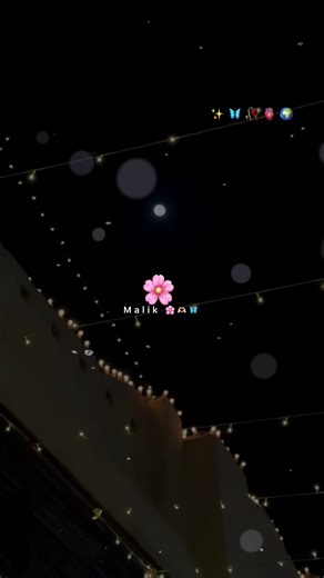 Sada Dil Tetuh Siwa: Status and Love Expressions