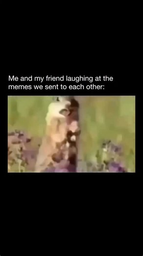 MEMES on Instagram: "🤣 Sending memes means sharing funny, relatable, or viral images, videos, or short texts with someone, usually through social media or messaging apps. People send memes to joke around, react to situations, express feelings, or bond without needing to explain much. It’s a casual way to communicate humor, mood, or inside jokes, and it’s often faster and more expressive than sending a regular message."