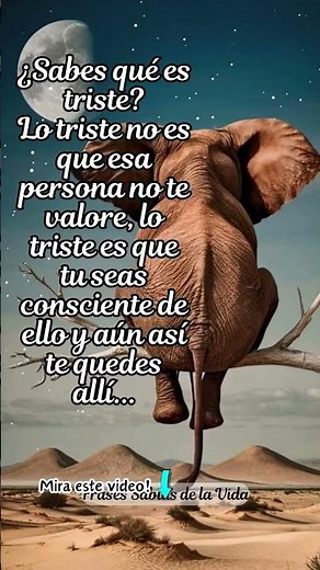 Esto es muy triste/Frases Inspiradoras