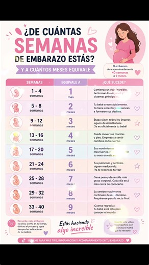 ¿De cuántas semanas estás y no sabes a cuántos meses equivale? 👀 Aquí lo tienes CLARO y fácil 💡 Guárdalo porque lo vas a necesitar 🤍 #embarazo #semanasdeembarazo #embarazofeliz #futurmama #mama2026