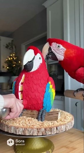 5 Shocking Truths About Making REALISTIC Parrot Cakes