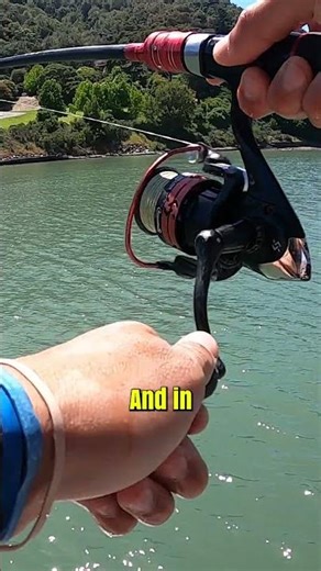 You won’t believe how easy it is to catch smelt! 🎣🔥 #FishingLife #SmeltFishing #BaitFish