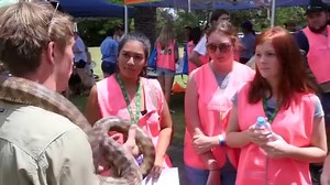 12K views · 262 reactions | We hope everyone enjoyed the UQ Gatton Market Day. | The University of Queensland | Facebook