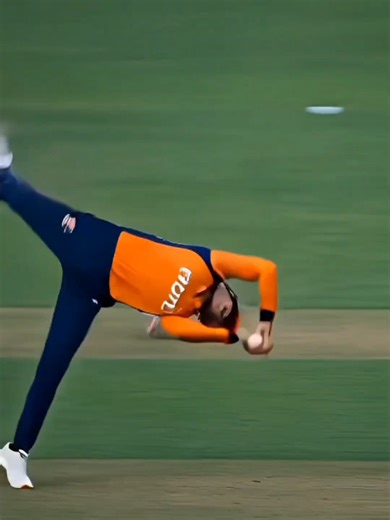 Best Cricket Catches Compilation