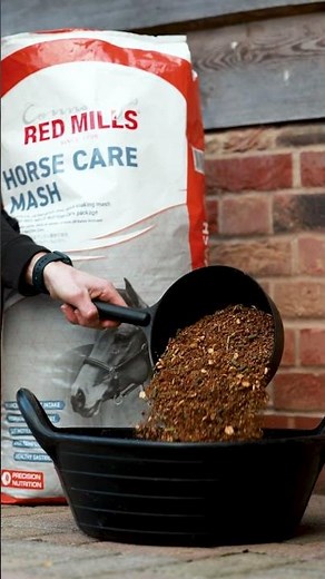 Horse Care Mash | Hydrating, Gut-Friendly Feed for Optimal Equine Health 🐴💧