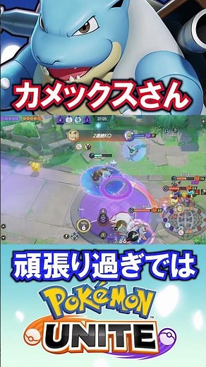 カメックスさん、頑張り過ぎでは