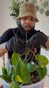 The Story of Mable & Patricia.. #plants #garden