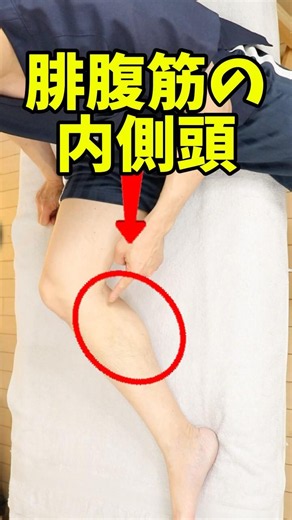 For inner knee pain, target this spot! [Knee Pain Specialist] Ao Chiropractic Clinic