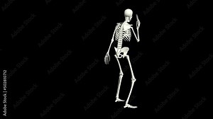Skeleton is talking on the phone. Skeleton conversation using the phone. 3D realistic animation. Transparent background. Stock Video