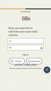 Your puppy just ate a sock, peed on your laptop, and is now zooming at 90mph. But hey—at least their food is one thing you don’t have to stress about. Meet Ollie: Fresh, nutritious meals delivered to your door. 🍽️🐶 | Ollie