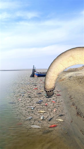 Bhatta pe giya river ko #for #usavideo🇺🇸 #uktiktok