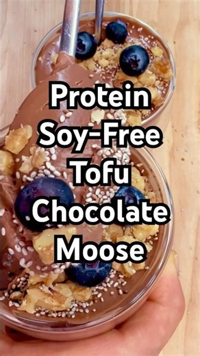 Protein Rich Chocolate Moose 🫎