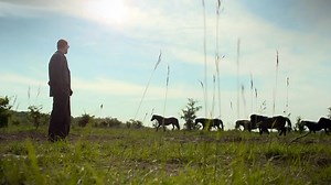 Ničit a chránit - Nedej se! | Česká televize