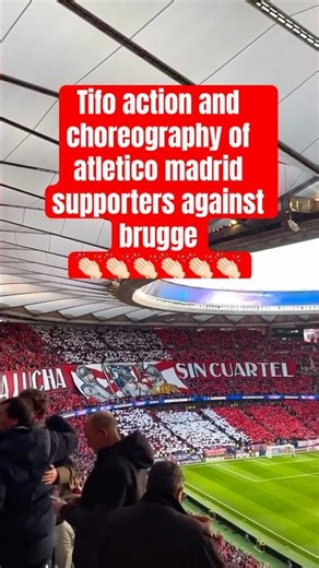 INSANE Atlético Madrid TIFO vs Club Brugge! Wanda Metropolitano ERUPTS in UCL Night! 🔥