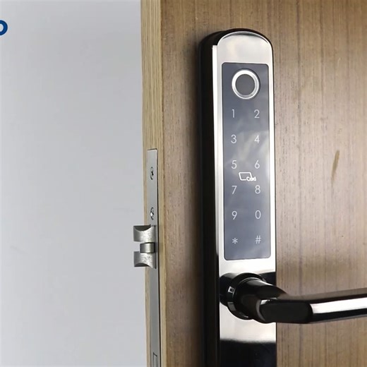 YAHIYA on Instagram: "Top On Sale Product Recommendations! IP66 Gold Stainless steel Sliding Glass Smart Lock Ttlock App with Google home Aleax Fingerprint Electronic Digital Lock Price Now: USD 78.90 (Original price: USD 108.08, 27% off) 🔗Click & Buy: https://s.click.aliexpress.com/e/_c3XQZiv5"