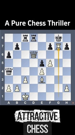 A Pure Chess Thriller #chess #chesstactics #shorts