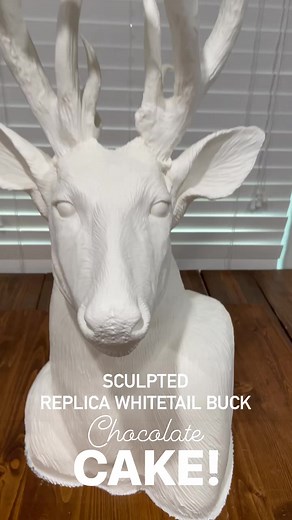 17K views · 186 reactions | Everyone meet “GANGSTA”!Sculpted LIFE-SIZE whitetail buck shoulder mount chocolate CAKE!The original “GANGSTA” was harvested by the groom & replicated for his surprise grooms cake. 歷 I love how funky & different his rack is. To book a sculpted cake/ wedding order for 2023-2024 visit my website sugarbellesweets.com and fill out Order Request Form. Check out the FAQ prior to submitting.(NO SHIPPING)XoSugarbelle Sweets | Sugarbelle Sweets | Facebook