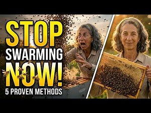 5 Proven Methods To Prevent Swarming