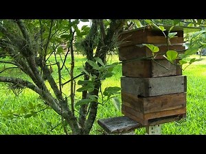 Boxes for native bees
