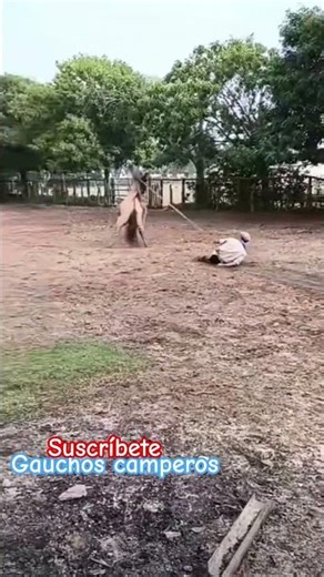 La que le hecho verija el hombre 😅