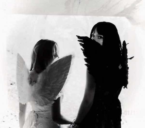 Exploring Wolves and the Moon