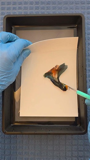 analog film transfer #instantfilm #art