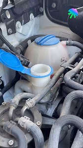 220K views · 215 reactions | Easy windshield cleaning hack #lifehacks #lifehack #diy #diyfix #quickfix #quicksolution | Best Athlete Performance | Facebook