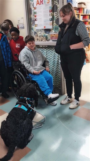 National Therapy Animal Day | How Therapy Dogs Provide Comfort & Emotional Support
