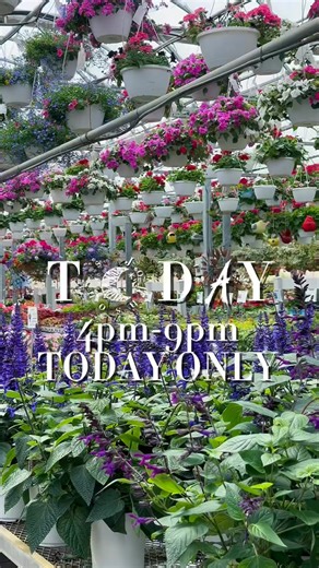 10K views · 65 reactions | G I V E A W A Y (yep, you read that...