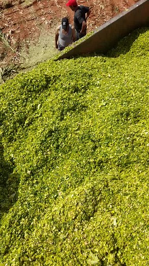 Exploring Agricultural Practices in Rural Settings