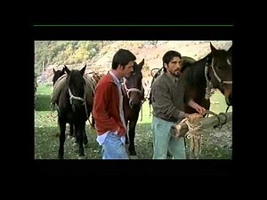 L'italiano prima parte - Luca Lionello