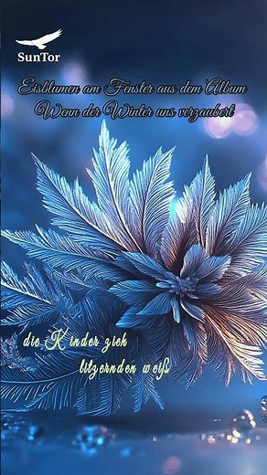 Eisblumen am Fenster – Magischer Weihnachtsmoment