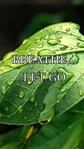 A few seconds of calm can change your whole day #calm #naturehealing #anxietyrelief #innercalm