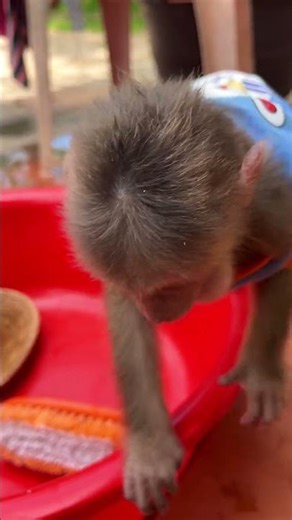 Little Icy exploring the house #CuriousSoul #DailyJoy