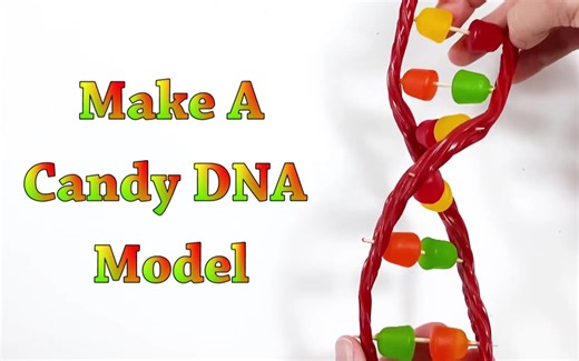 亲子手工STEM，跟孩子一起做DNA模型~~