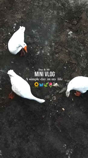 | Day 8🌷| productive morning routine | #minivlog #dayinmylife #30daychallenge #studywithme